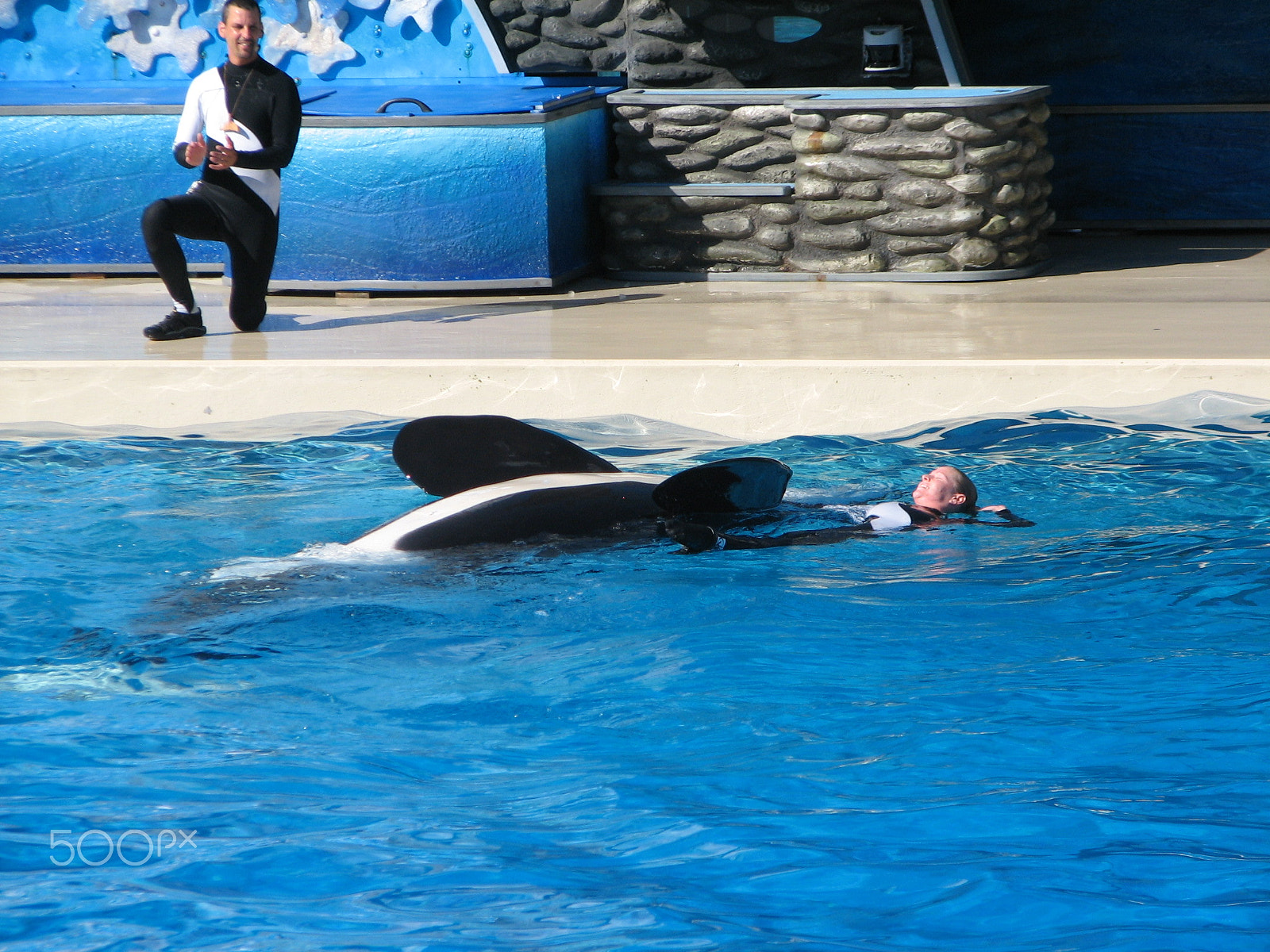 Canon POWERSHOT S2 IS sample photo. Please don't eat me shamu photography