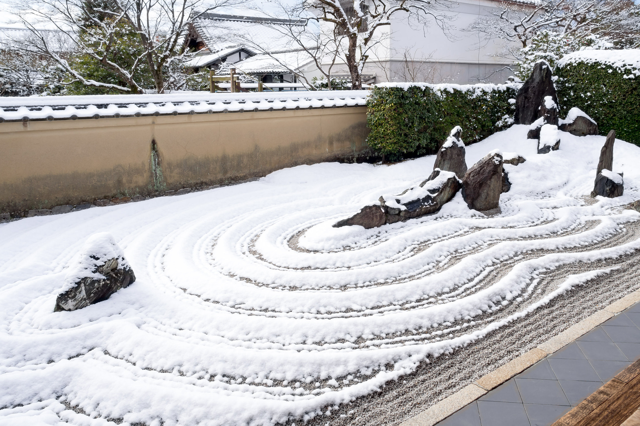 Olympus OM-D E-M5 sample photo. 龍源院 - 大徳寺 ／ ryugen-in daitoku-ji temple photography