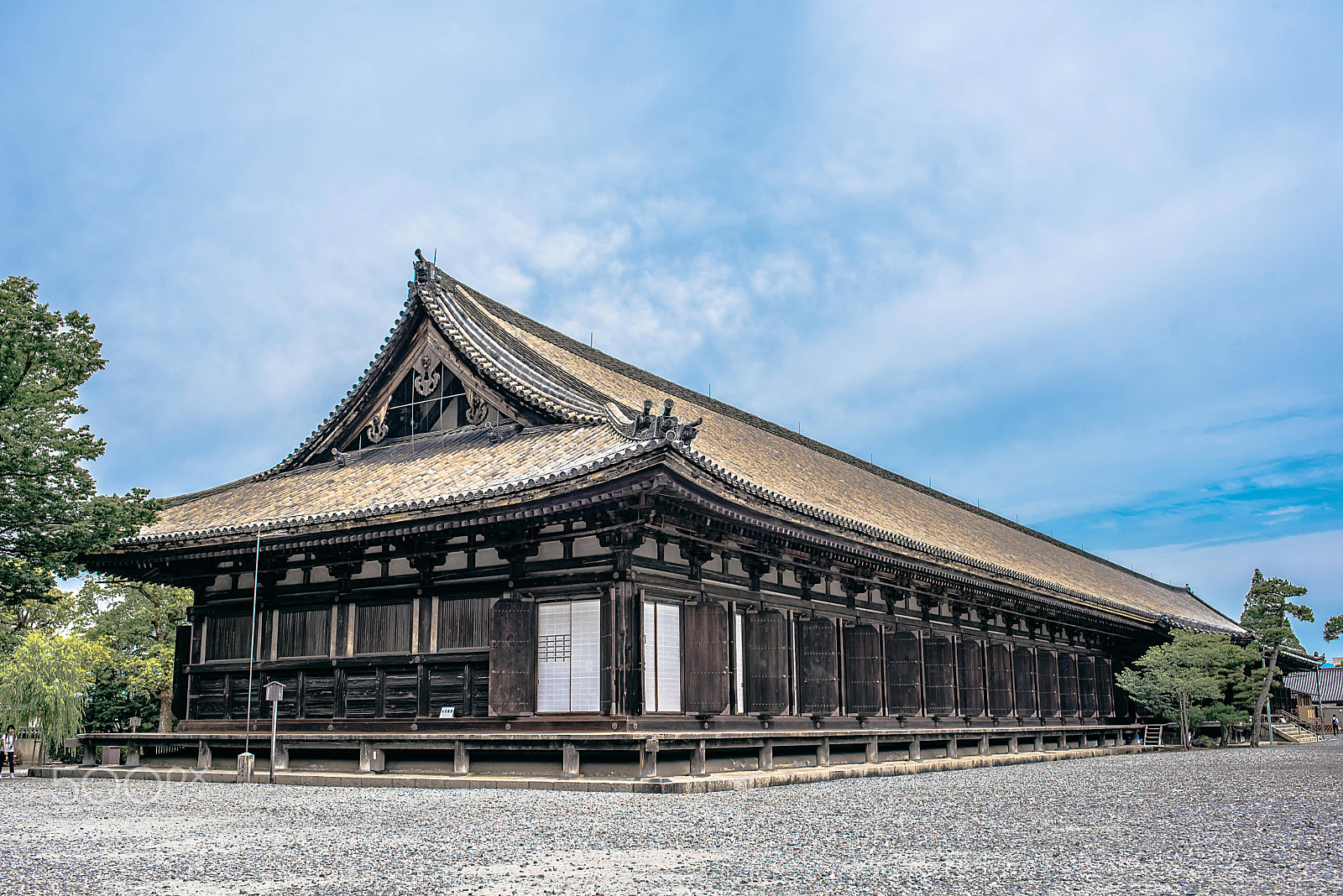 Nikon D750 + Nikon AF-S Nikkor 35mm F1.8G ED sample photo. 三十三間堂 photography