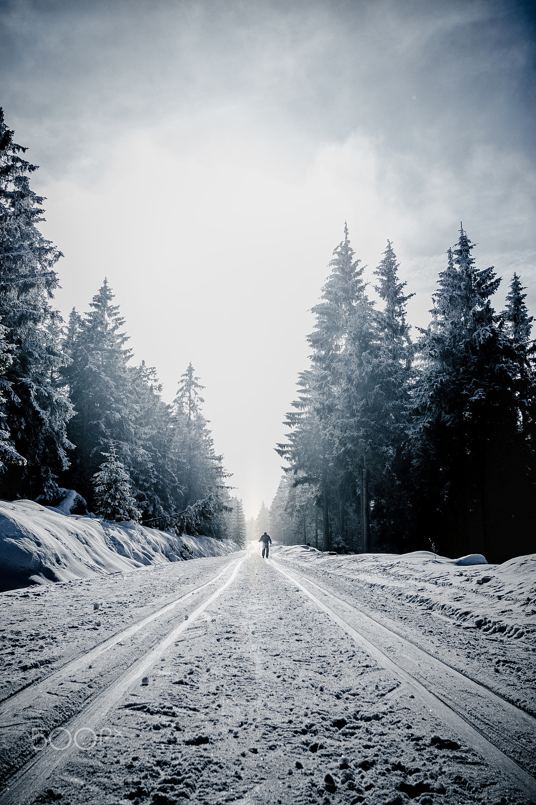 LEICA DG SUMMILUX 15/F1.7 sample photo. Lonely skier. photography