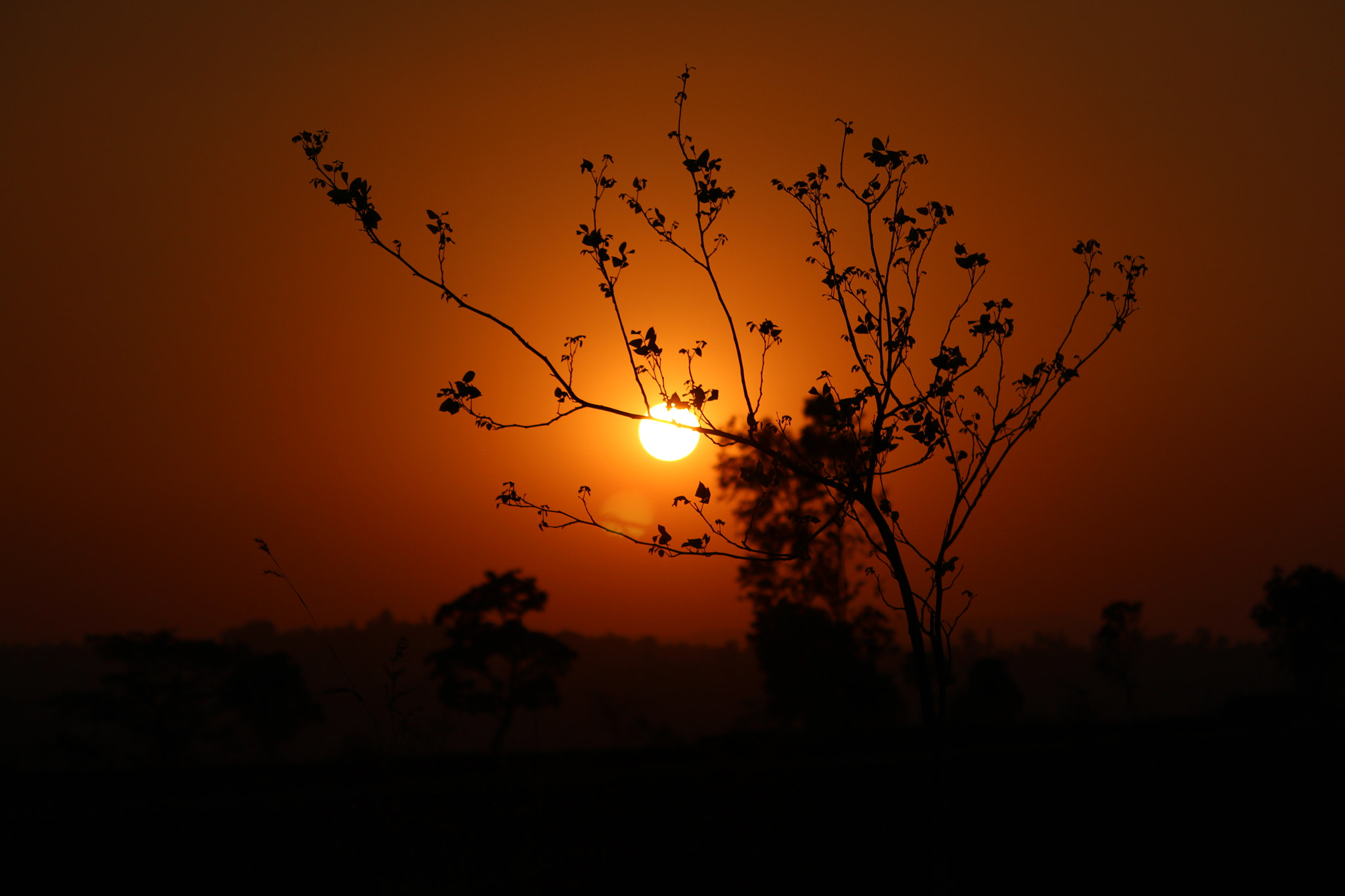 Canon EF 22-55mm f/4-5.6 USM sample photo. Silhouette photography