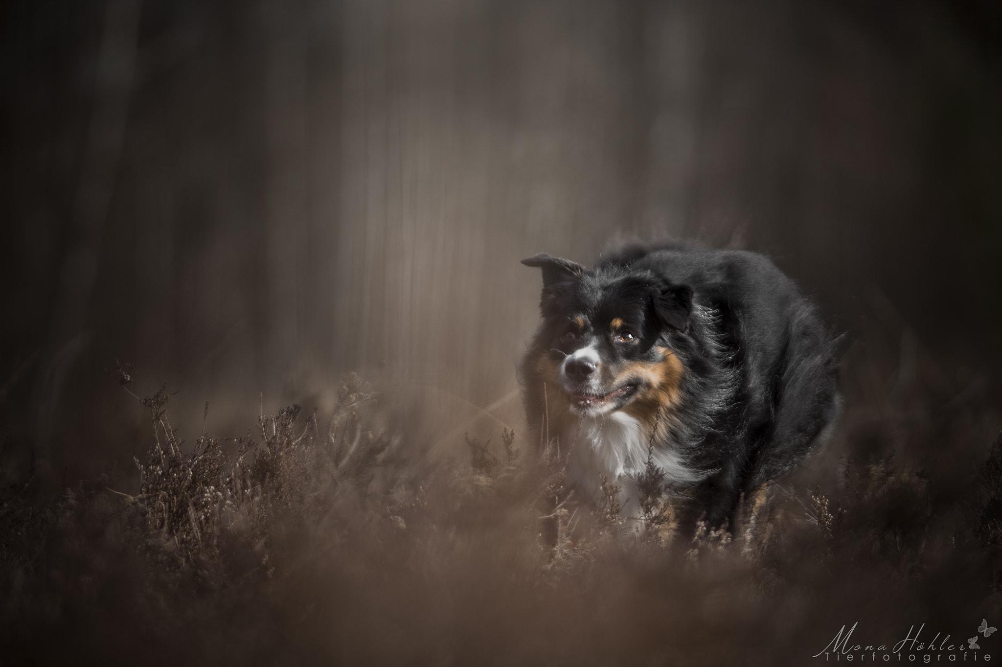 Nikon AF Nikkor 180mm F2.8D ED-IF sample photo. Running in the darkness photography