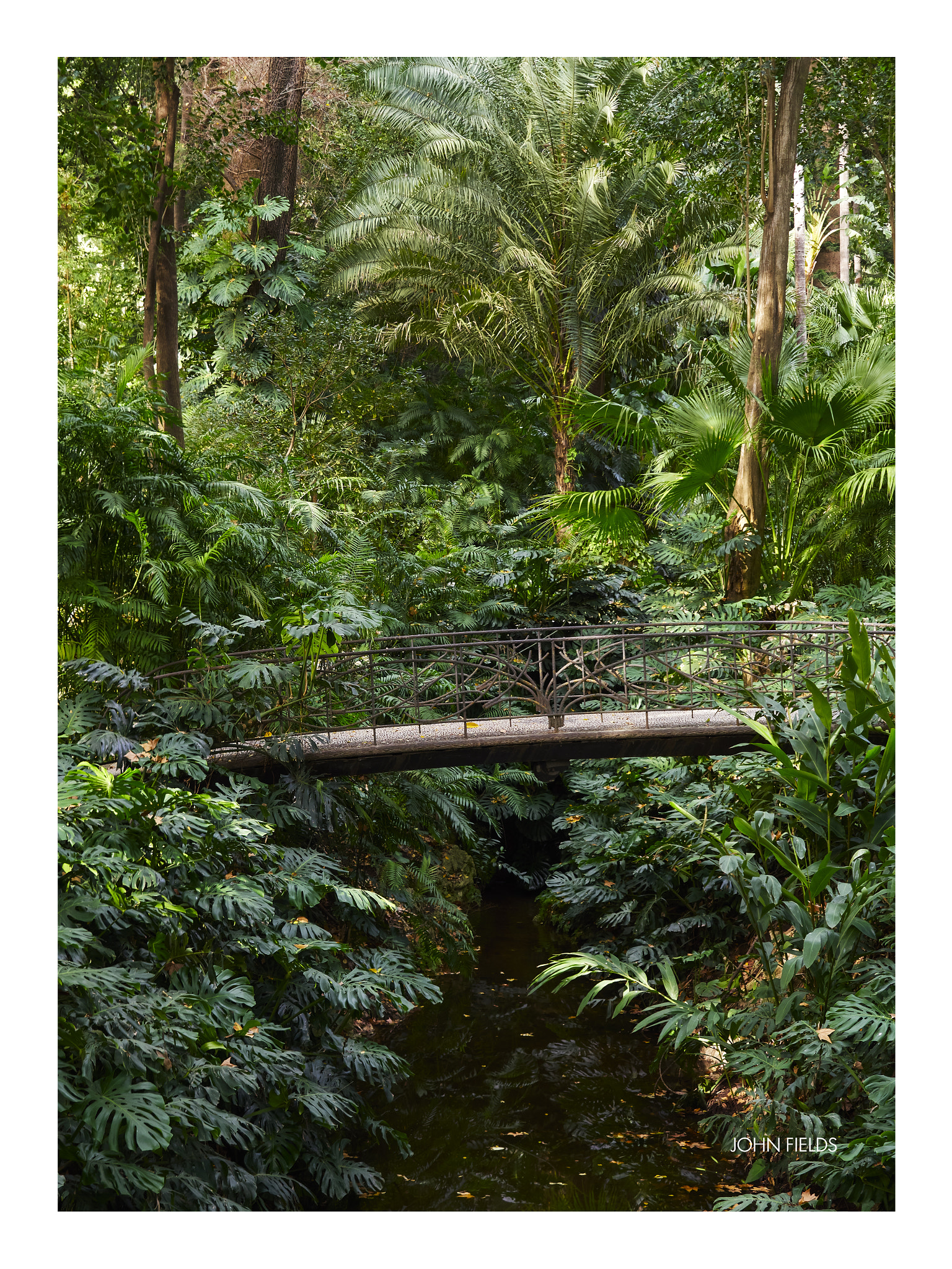 Panasonic Lumix DMC-GX8 + Olympus M.Zuiko Digital ED 12-40mm F2.8 Pro sample photo. Málaga (56) jardín botánico la concepción photography