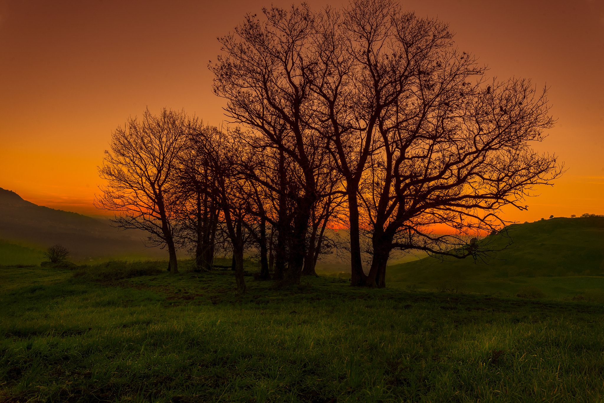 Tamron SP 15-30mm F2.8 Di VC USD sample photo. Shilouette sunset photography