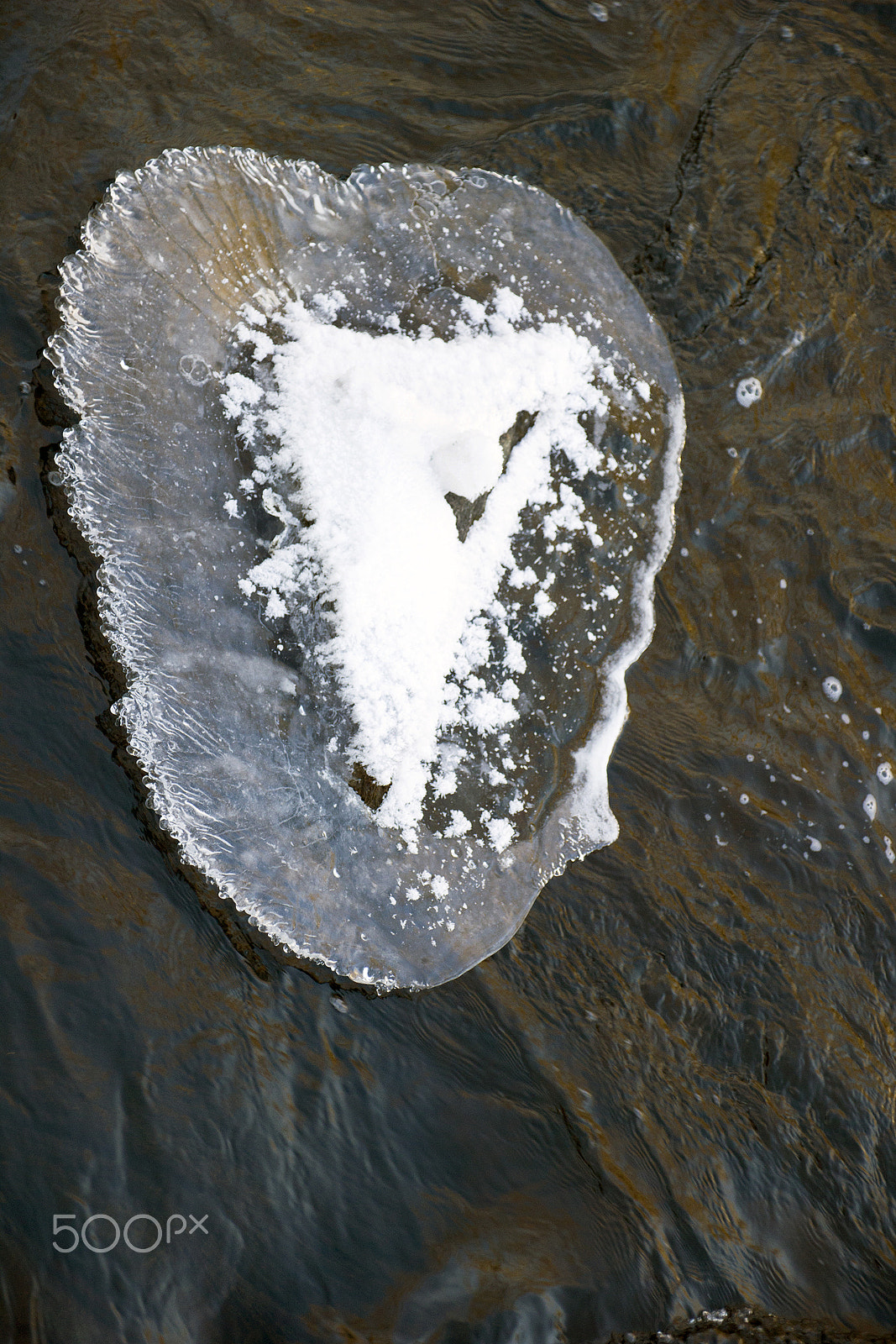 Canon EOS 550D (EOS Rebel T2i / EOS Kiss X4) + Canon TS-E 90mm F2.8 Tilt-Shift sample photo. Shapes of water photography