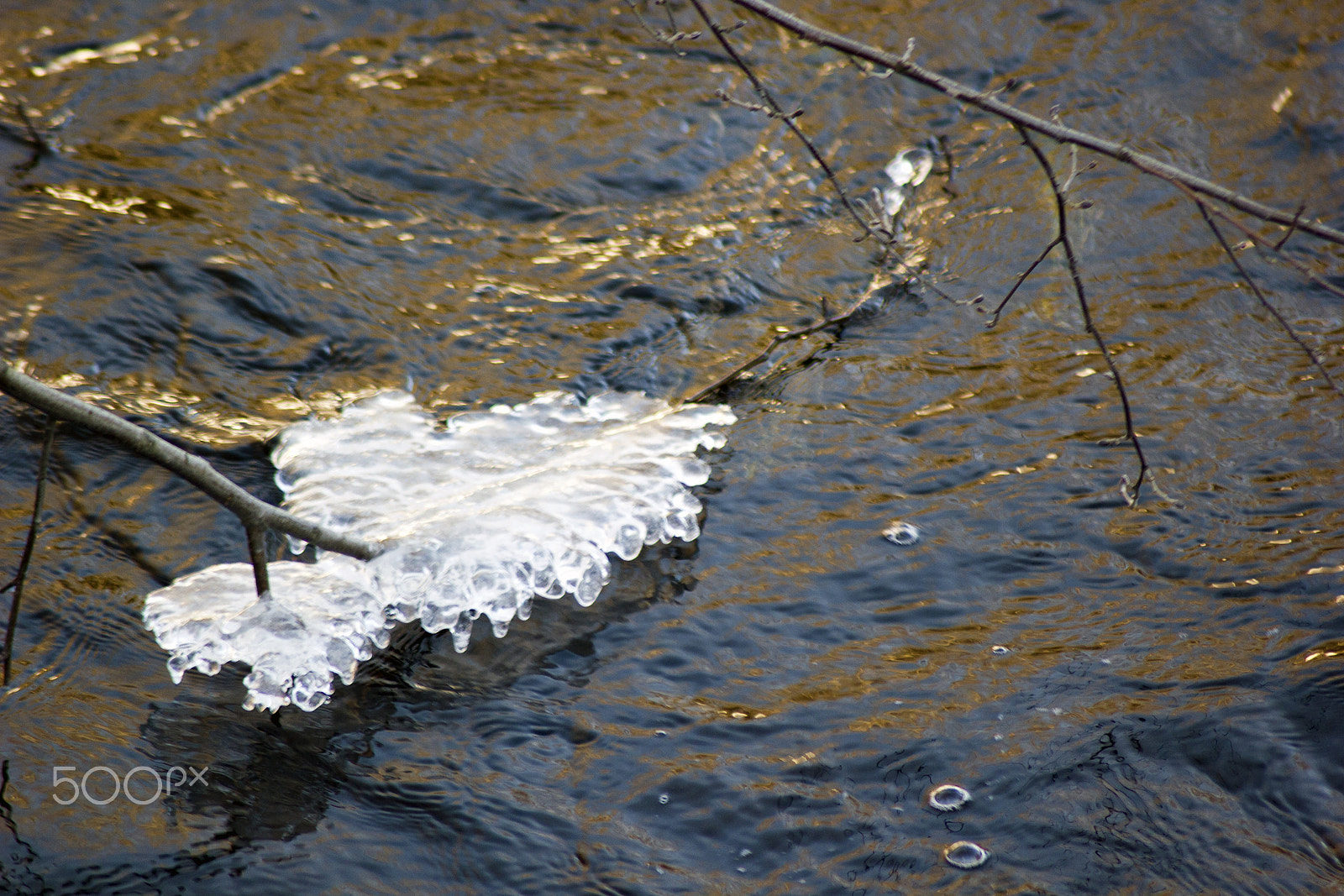 Canon EOS 550D (EOS Rebel T2i / EOS Kiss X4) sample photo. Shapes of water photography
