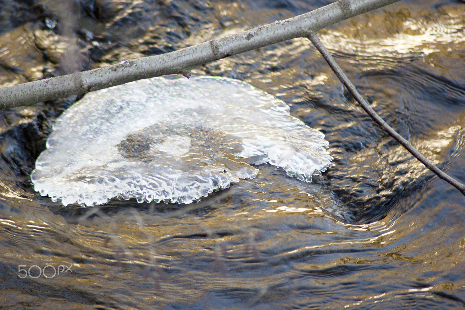 Canon EOS 550D (EOS Rebel T2i / EOS Kiss X4) sample photo. Shapes of water photography