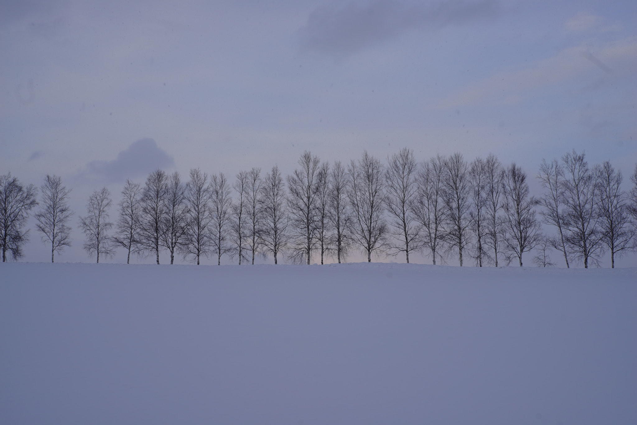 Sony a7R + Sony DT 50mm F1.8 SAM sample photo. 夕暮れ時 photography
