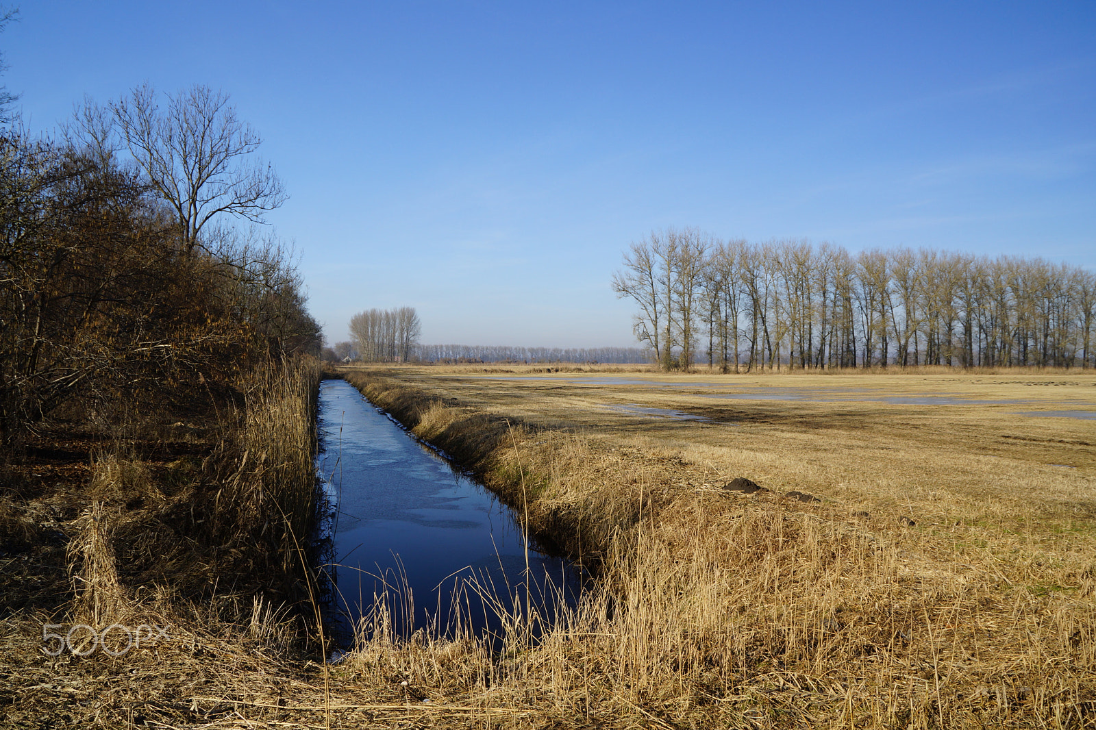 Sony DT 18-200mm F3.5-6.3 sample photo. Germany, linum vi - rhinluch photography