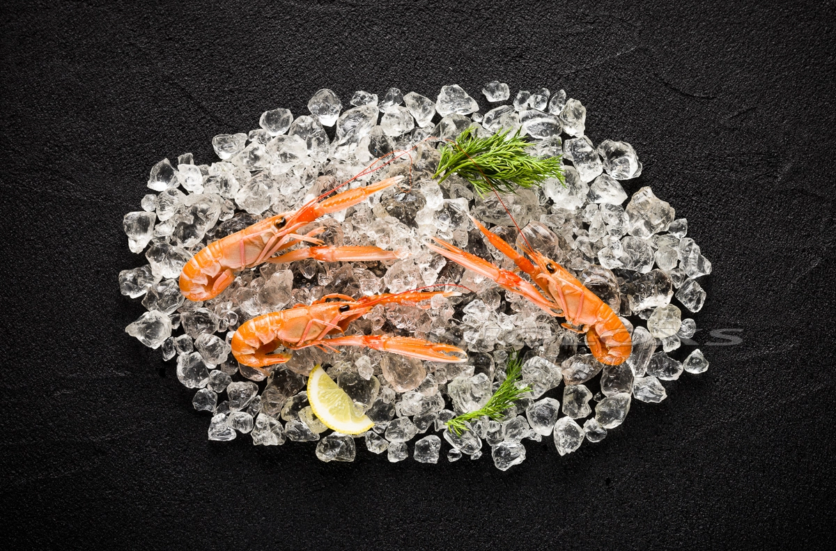 Fresh baby scampi shrimp on ice on a black stone table top view