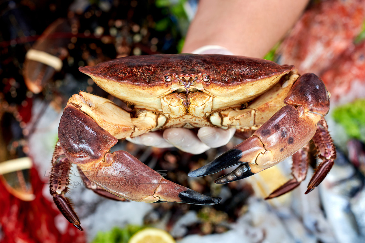 Nikon AF Nikkor 50mm F1.8D sample photo. Seller presenting a crab in fish store photography