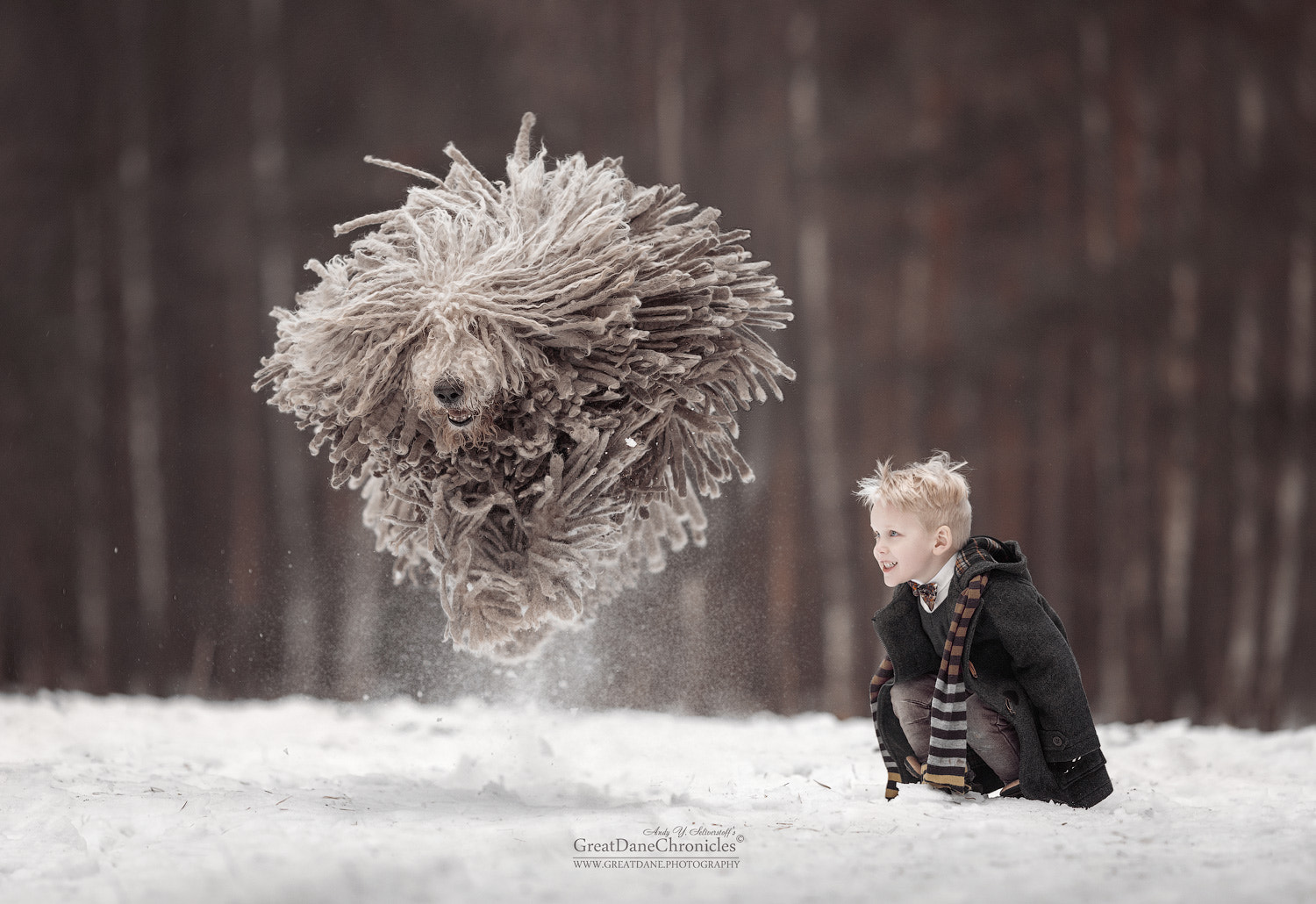 Canon EOS 5D Mark IV + Canon EF 135mm F2L USM sample photo. Mop tops in the snow photography