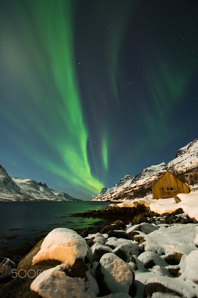 Nikon D7200 sample photo. Northern light photography