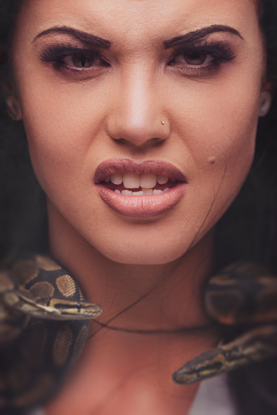 Nikon D800 sample photo. Medusa 2 photography