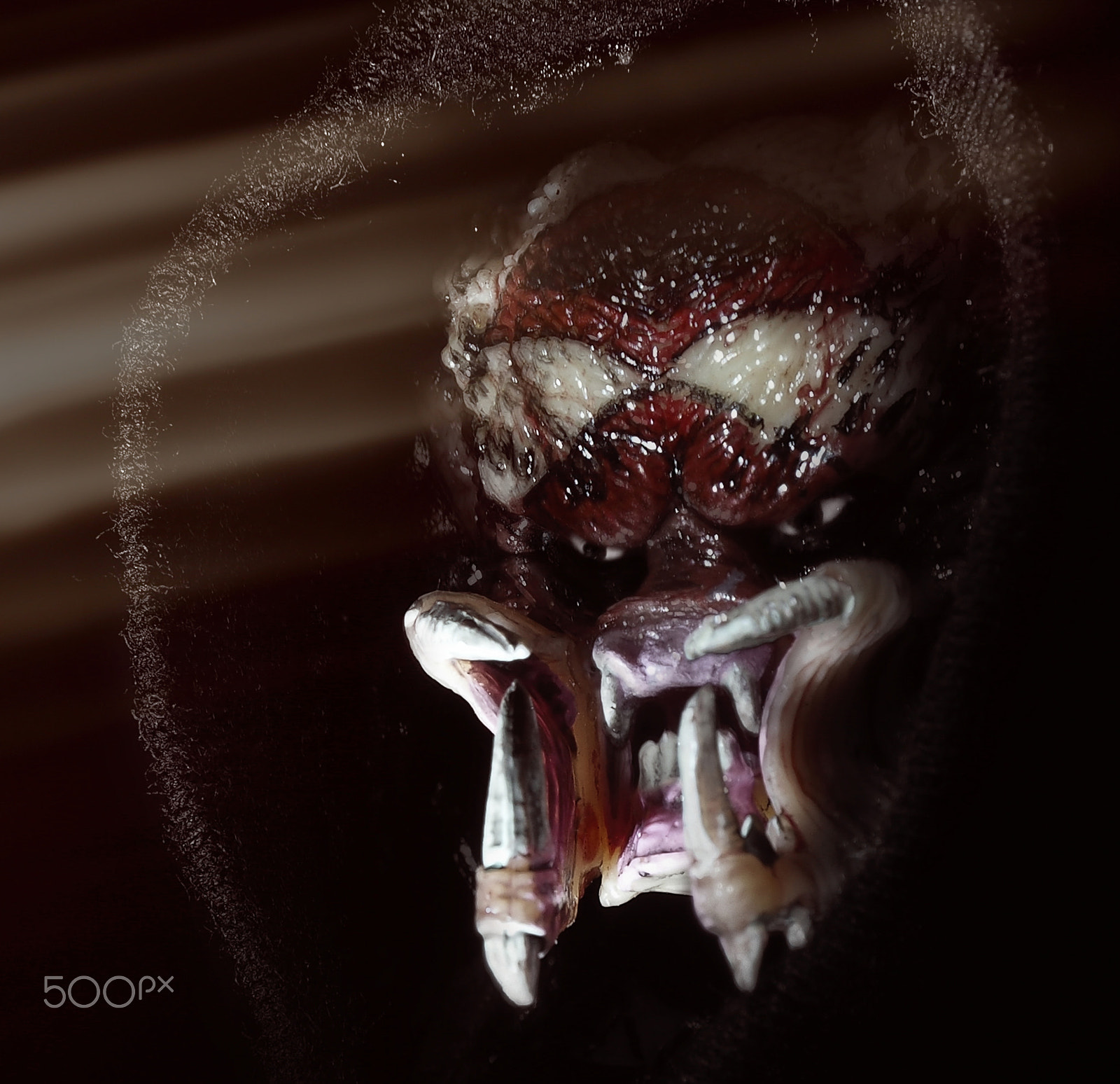 Olympus OM-D E-M10 II sample photo. Darth predator photography