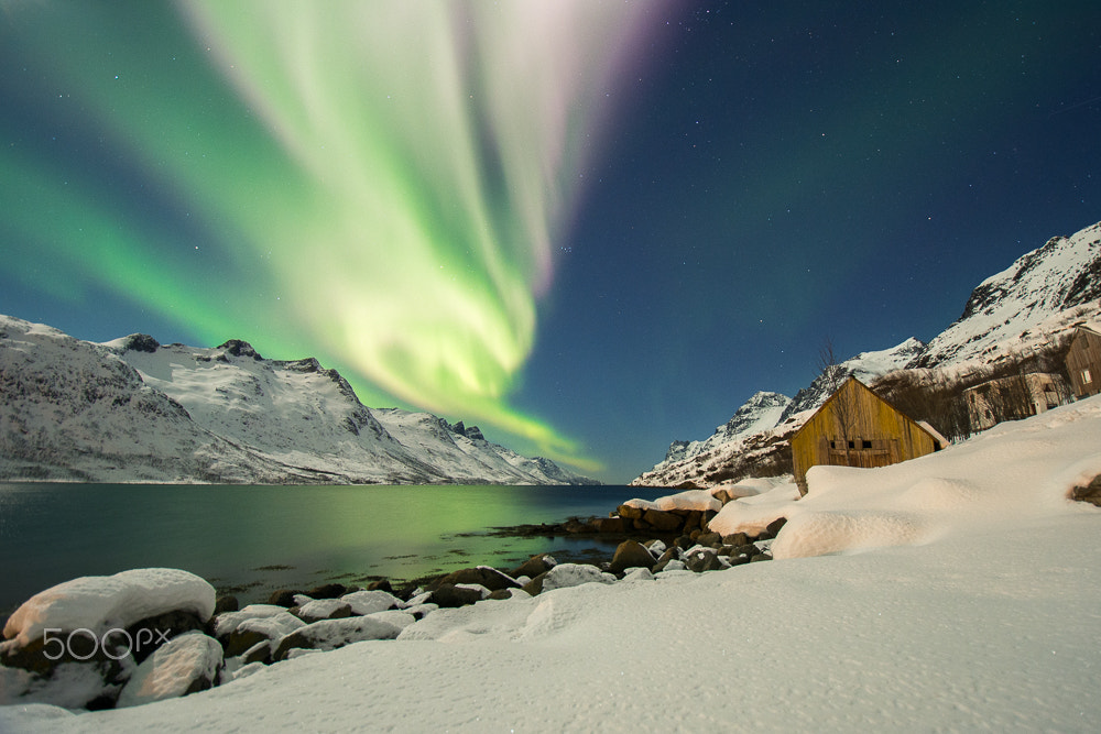Nikon D7200 sample photo. Northern light photography