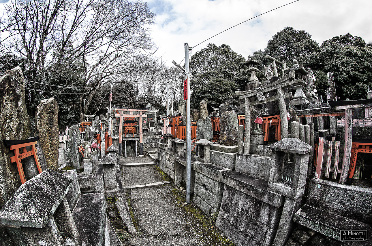 Nikon D7000 + Samyang 8mm F3.5 Aspherical IF MC Fisheye sample photo. Fushimi inari #02 - kyoto, japan photography