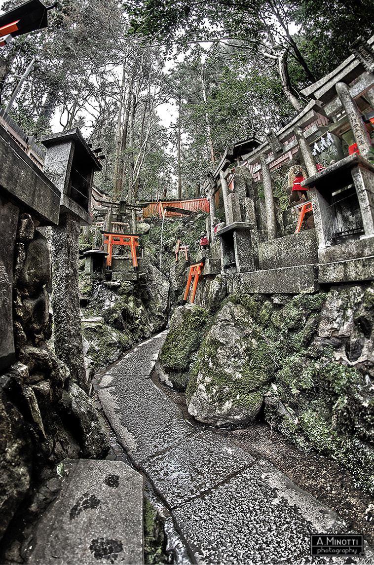 Nikon D7000 + Samyang 8mm F3.5 Aspherical IF MC Fisheye sample photo. Fushimi inari #03 - kyoto, japan photography