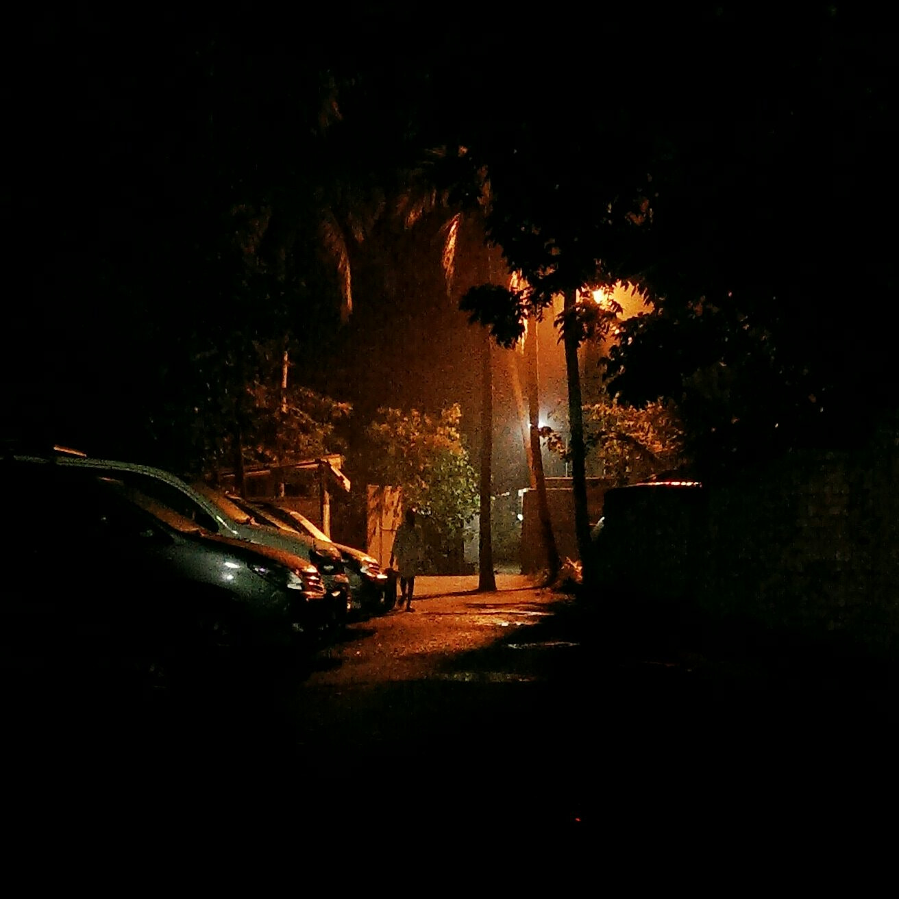 HTC ONE DUAL SIM sample photo