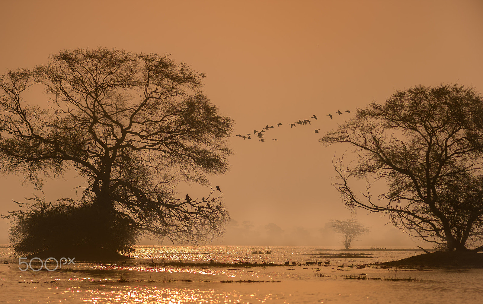 Nikon D4S sample photo. A blissful morning ! photography