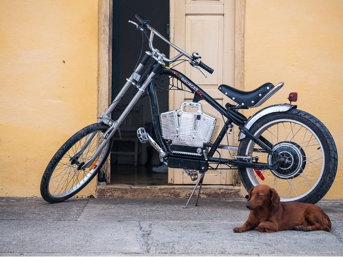 Panasonic Lumix G X Vario 35-100mm F2.8 OIS sample photo. Bike with watch-dog photography