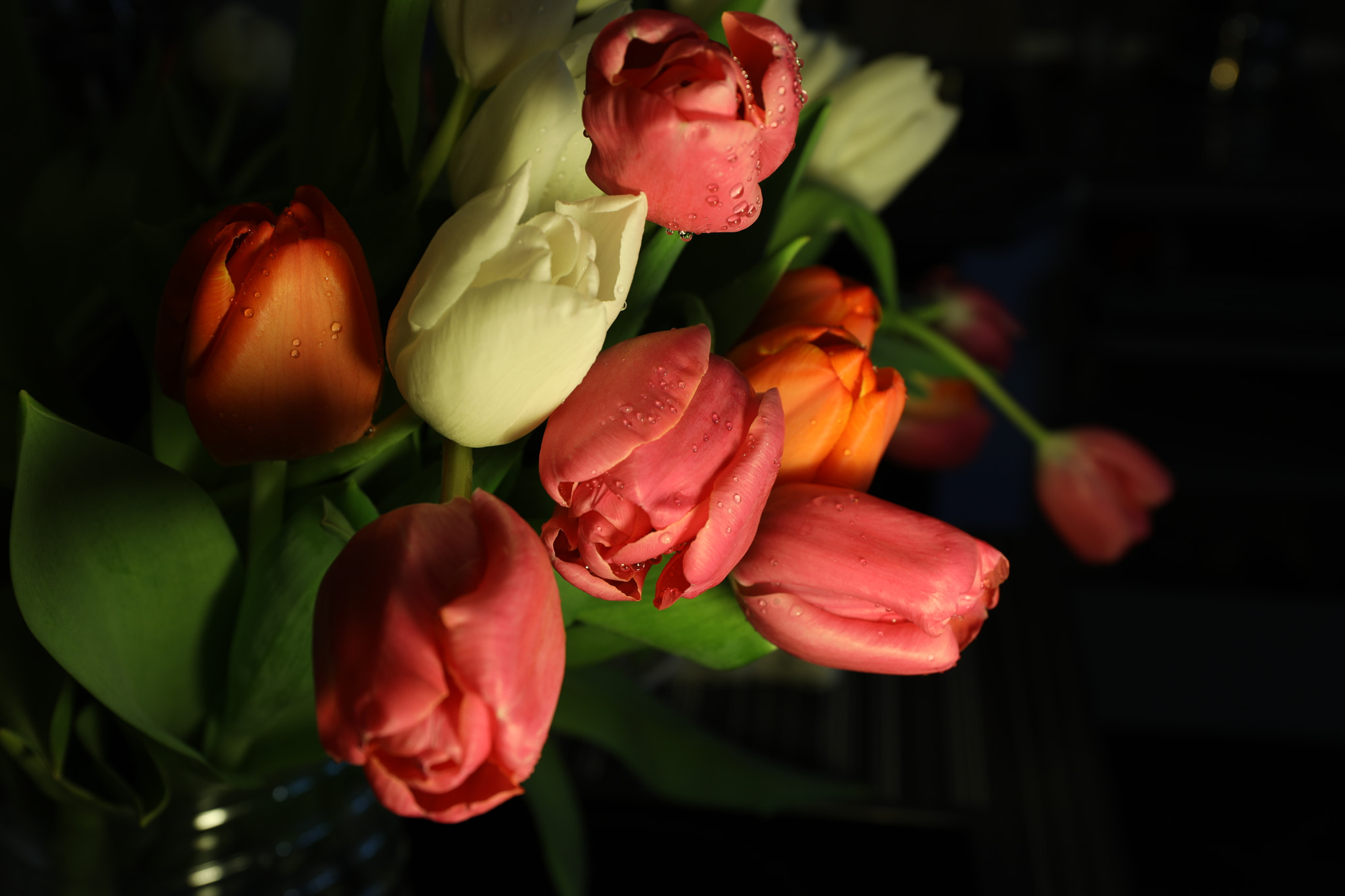 Canon EF 24-70mm F4L IS USM sample photo. Lya photography
