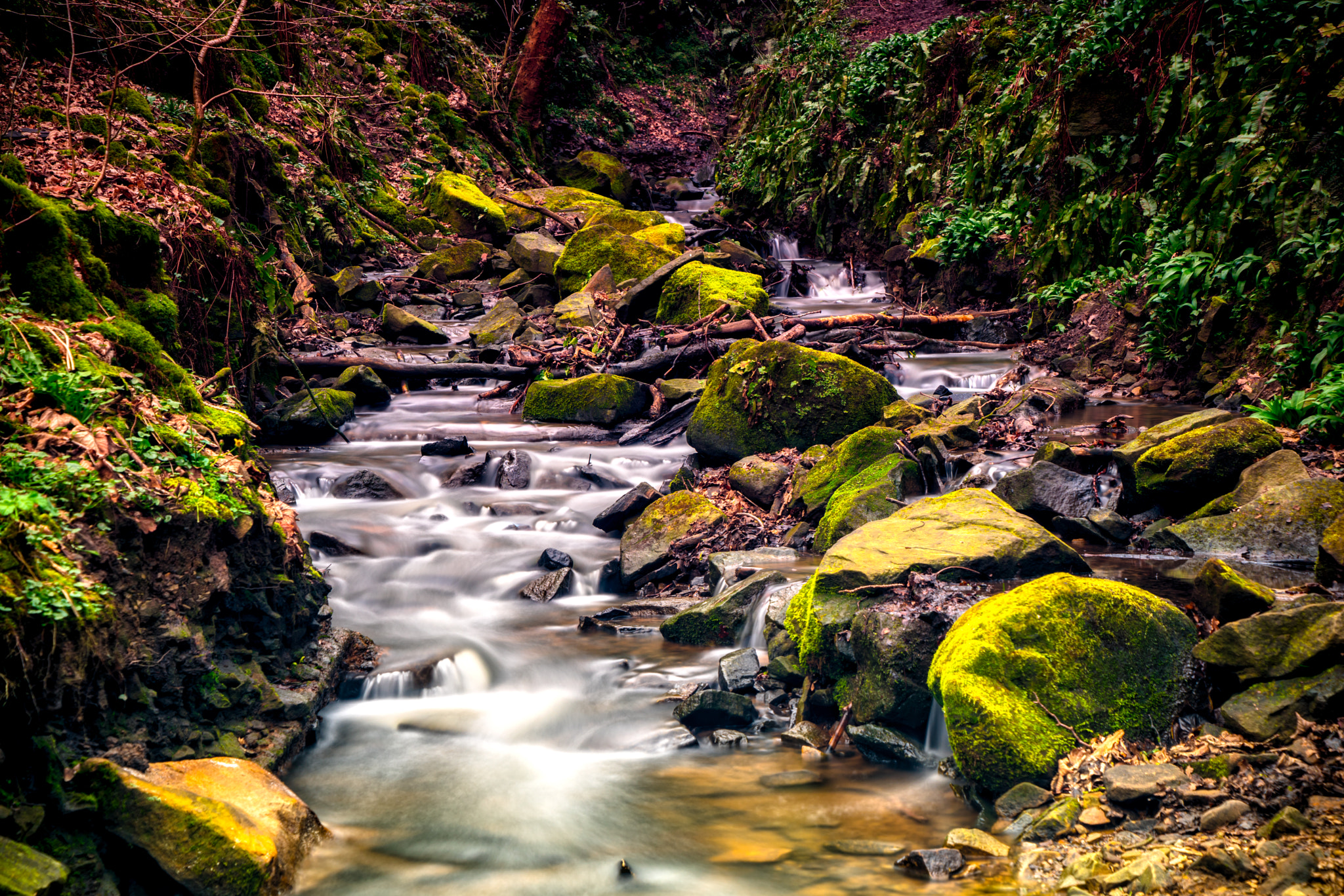 Sony a7R + Sony Vario Tessar T* FE 24-70mm F4 ZA OSS sample photo. Fairy glen. photography