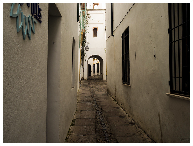 Olympus M.Zuiko Digital 17mm F1.8 sample photo. . photography