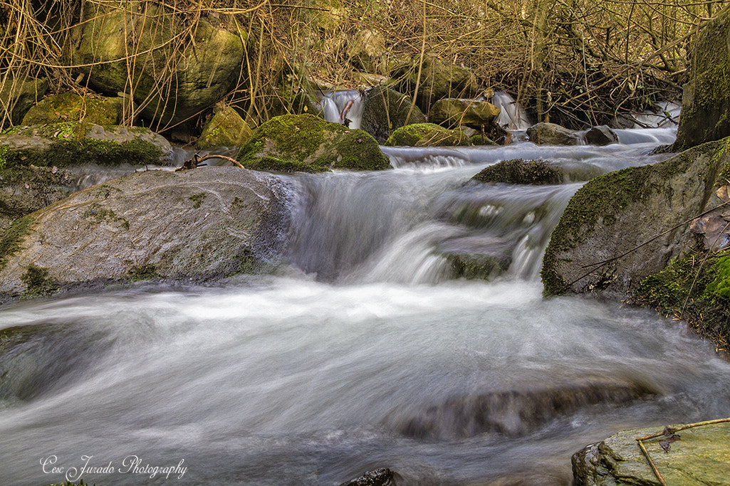 Canon EF-S 17-85mm F4-5.6 IS USM sample photo. Rio monachil photography
