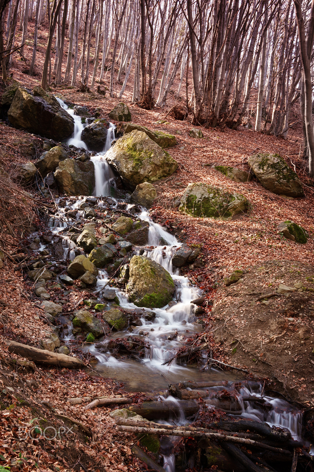 Sony a7 II + Sony Sonnar T* FE 35mm F2.8 ZA sample photo. When snow is melting in the woods photography