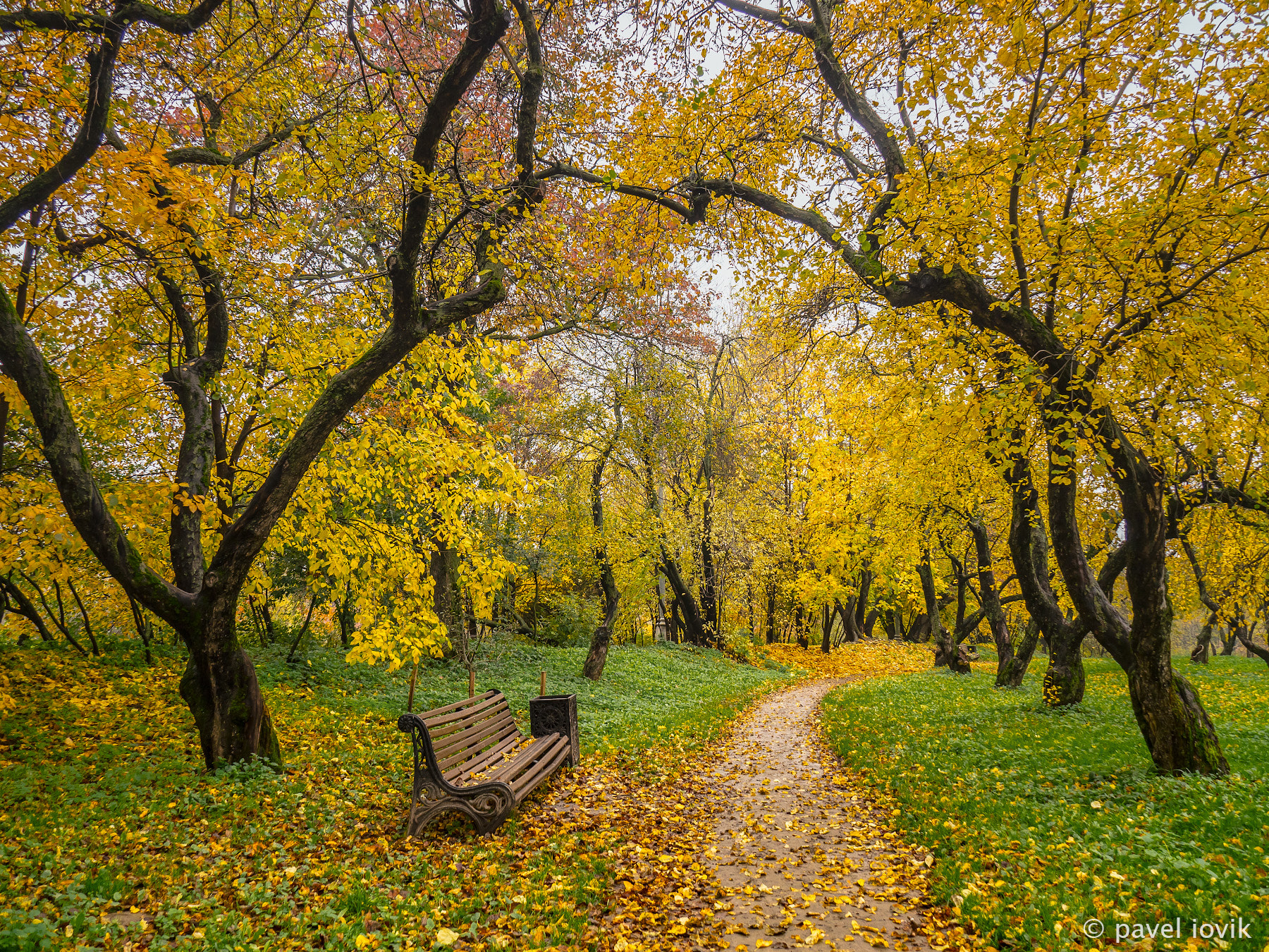 OLYMPUS M.14-150mm F4.0-5.6 II sample photo. Bench in the autumn park photography