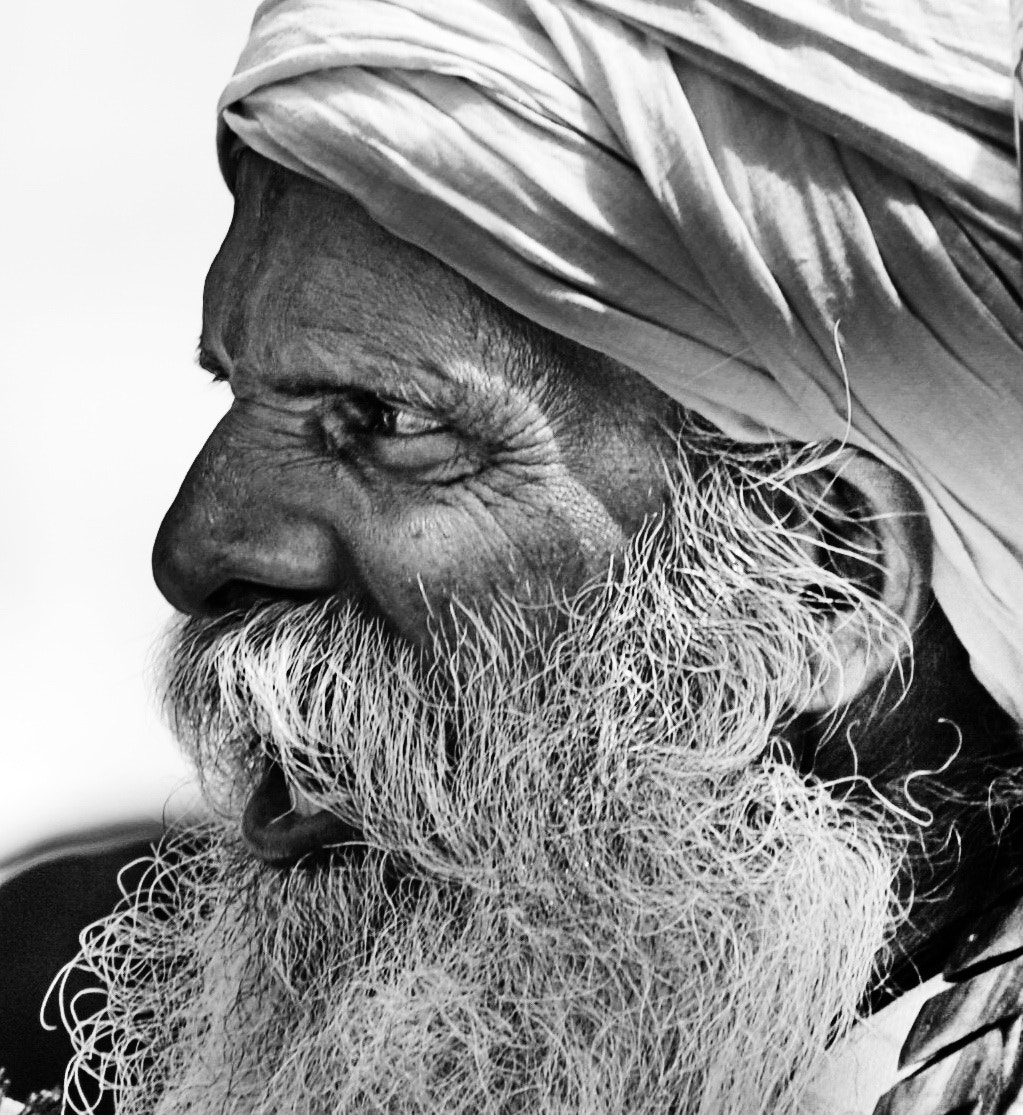 Sigma 70-200mm F2.8 EX DG Macro HSM II sample photo. Inder photography