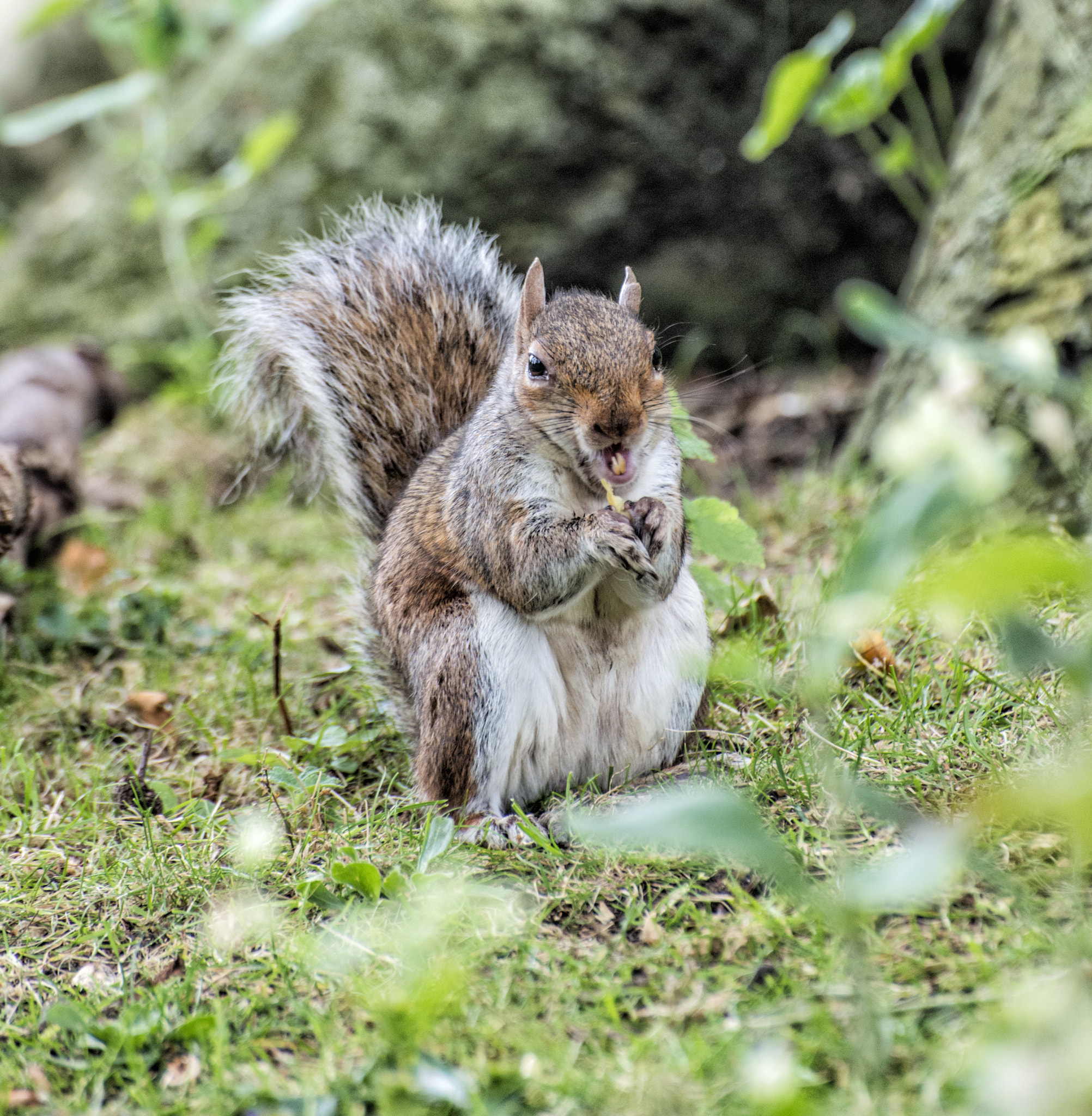 Nikon D800 sample photo. Lunch time photography