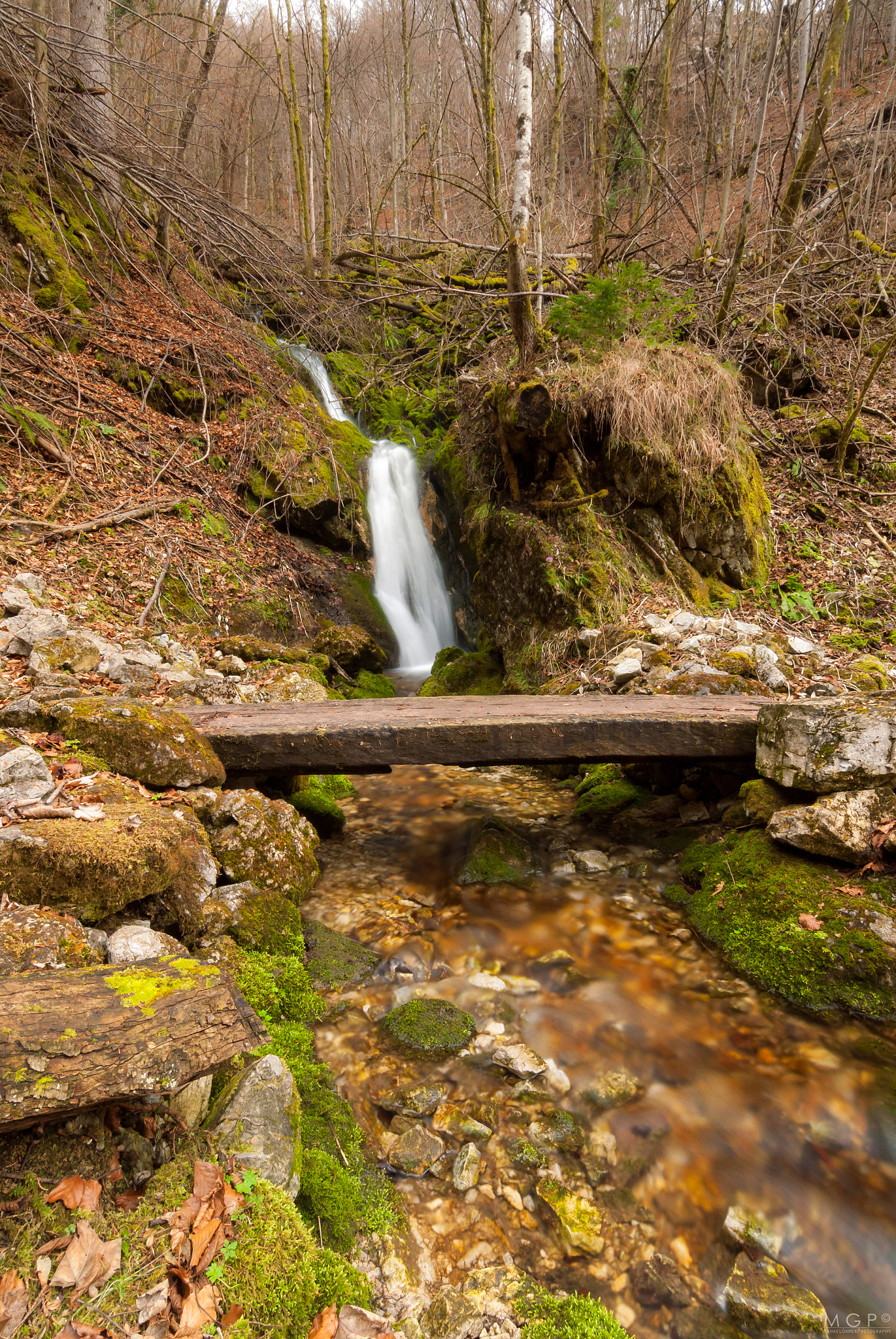 Nikon D200 sample photo. Forest stream photography