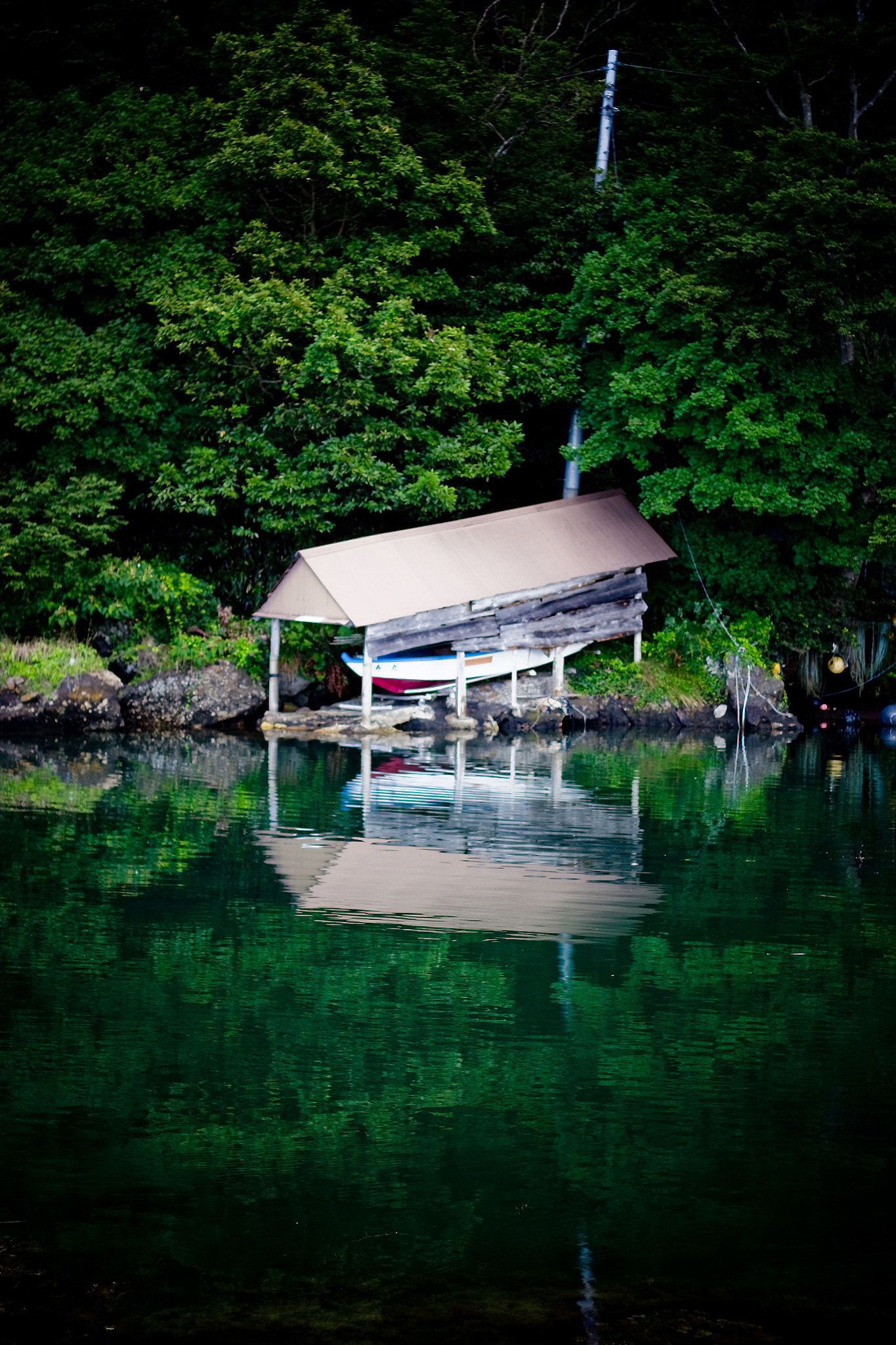 Canon EOS 550D (EOS Rebel T2i / EOS Kiss X4) sample photo. Sadogasima photography