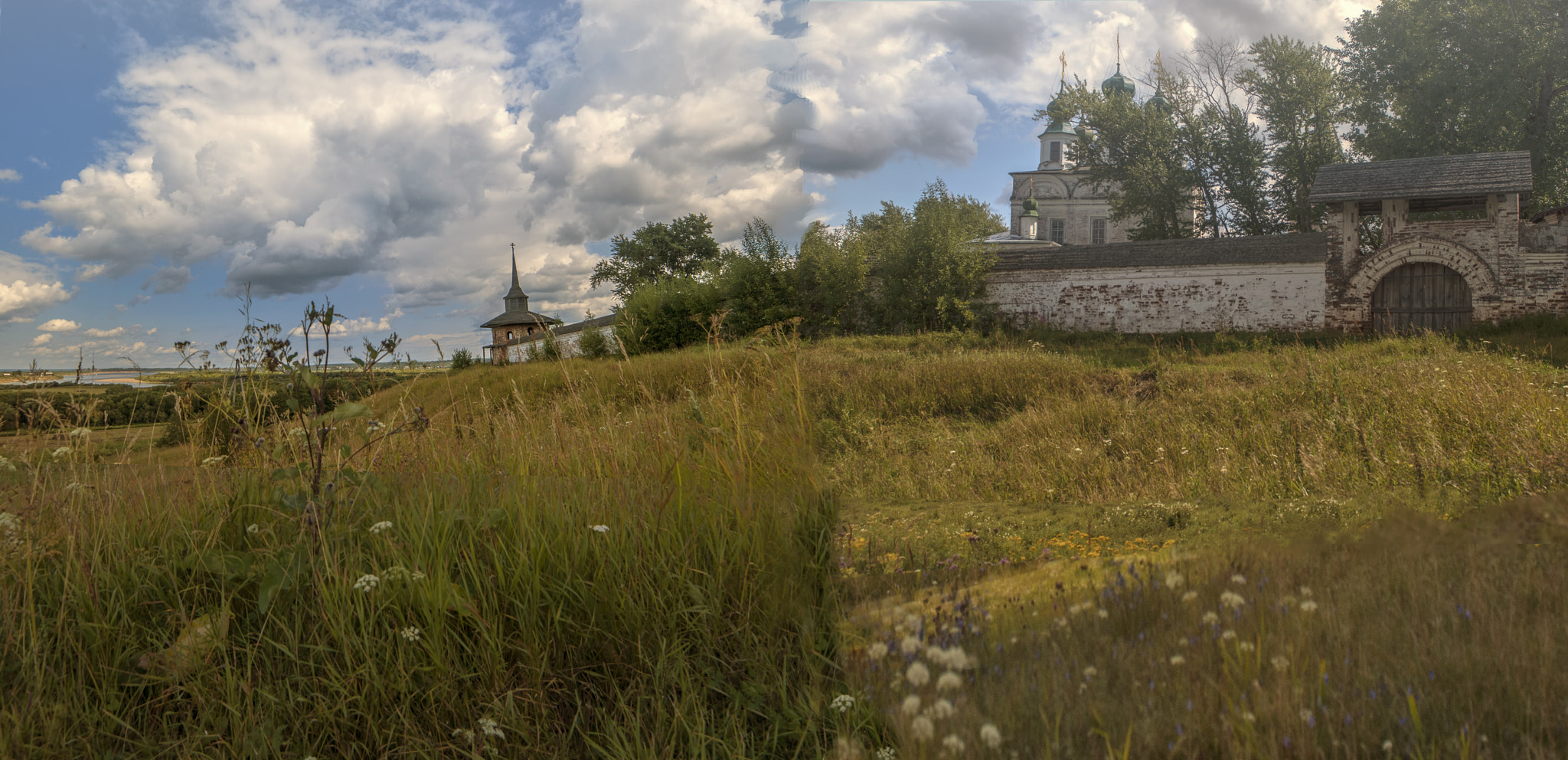 Samyang 14mm F2.8 ED AS IF UMC sample photo. The thistle photography