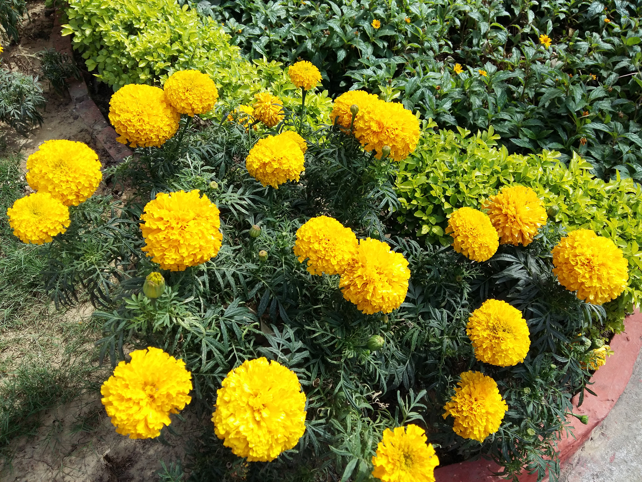 Samsung Galaxy A7 sample photo