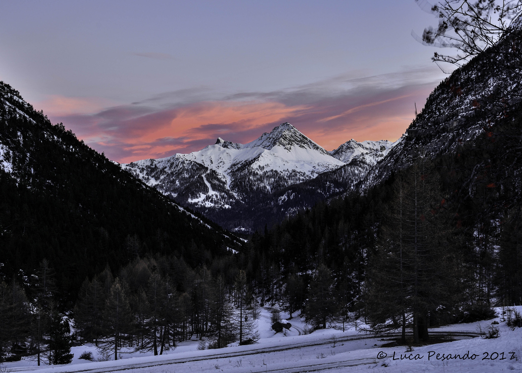 Nikon AF-S Nikkor 18-35mm F3.5-4.5G ED sample photo. Rosso d'inverno photography