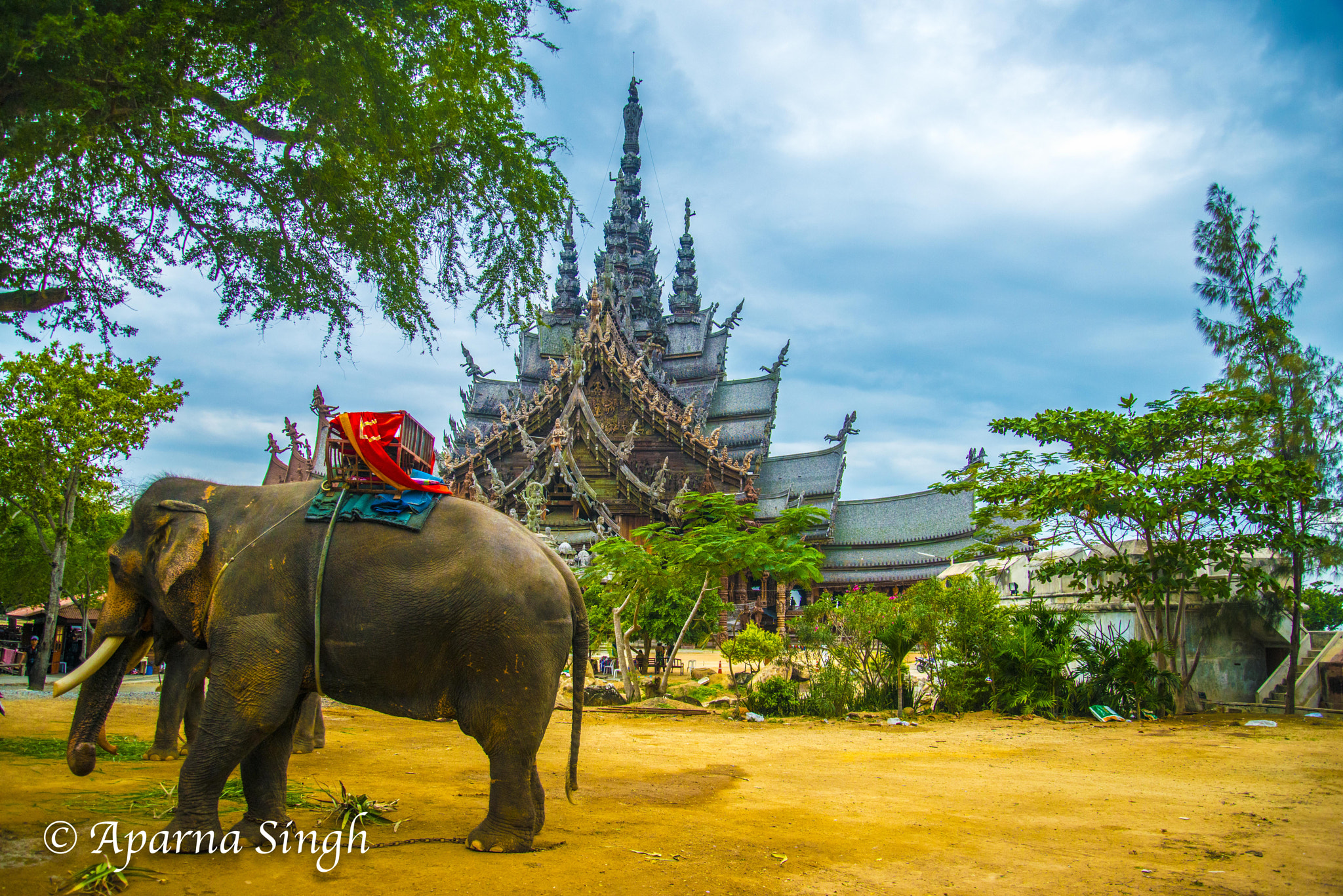 Nikon D800 sample photo. Thailand photography