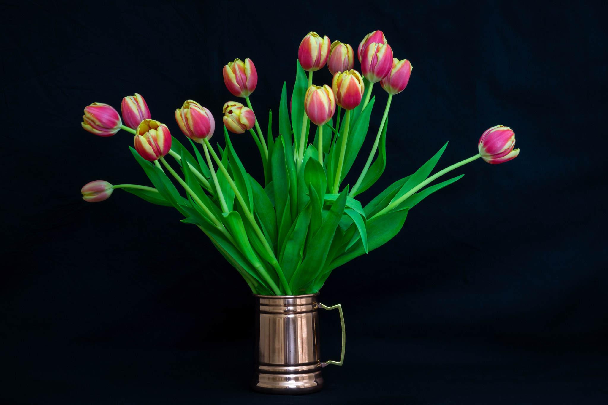 Sony a7 II + Sony FE 90mm F2.8 Macro G OSS sample photo. Tulips photography