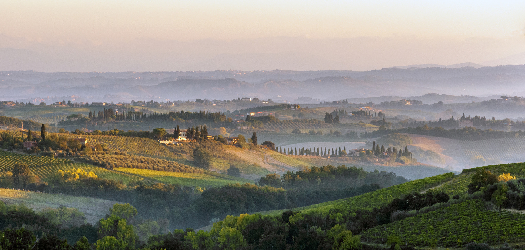 Nikon D300 + Nikon AF-S Nikkor 28-70mm F2.8 ED-IF sample photo. Morning in tuscany photography