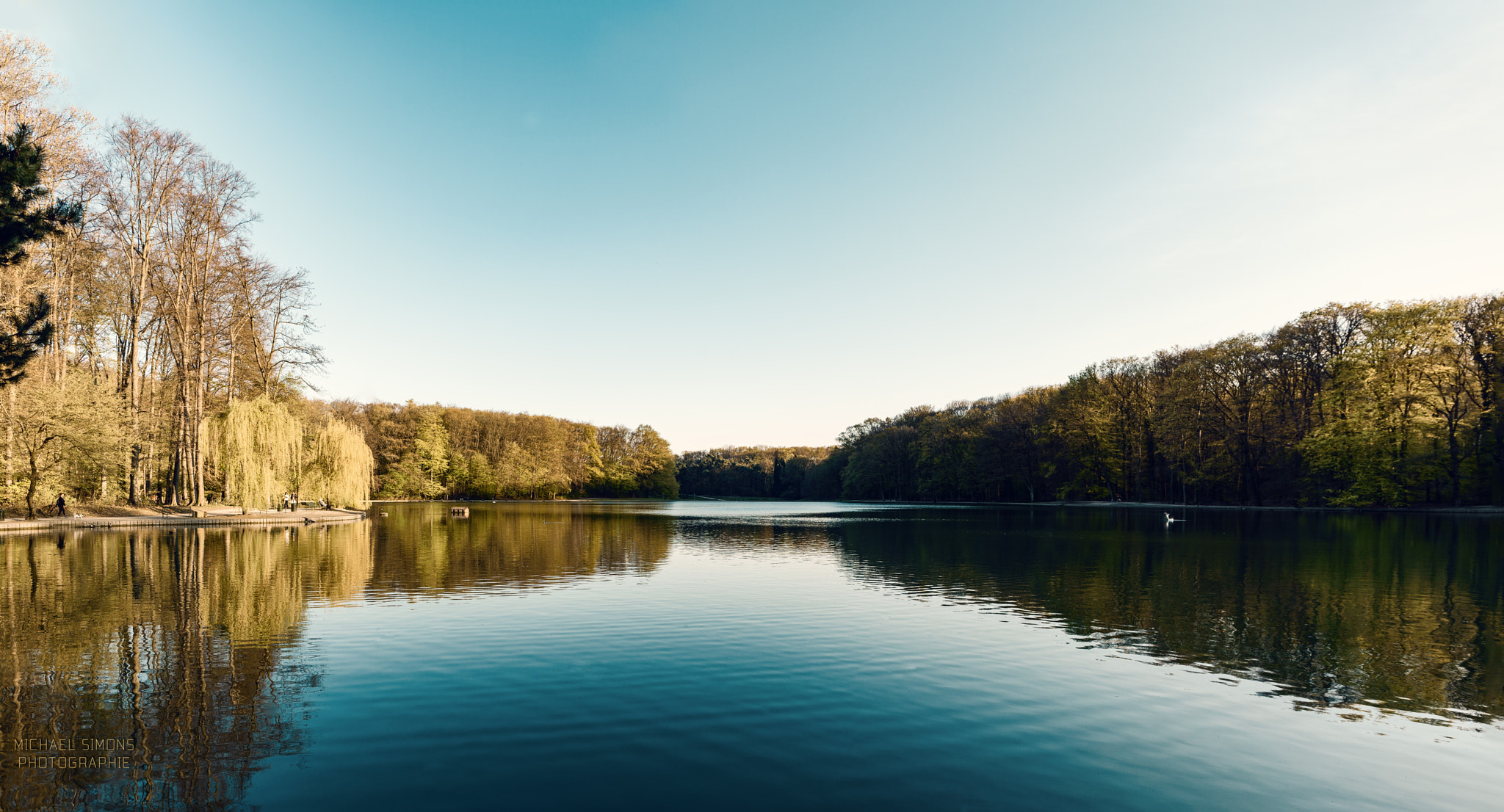 Canon EF 24-70mm F4L IS USM sample photo. Koeln jahnwiesen photography