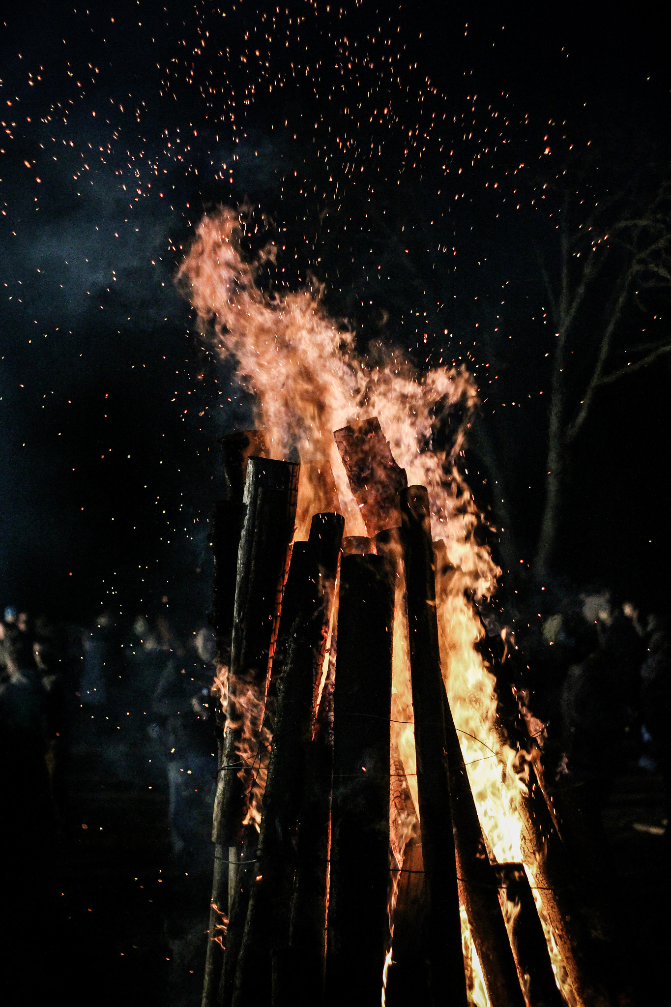 Canon EOS 700D (EOS Rebel T5i / EOS Kiss X7i) + Canon EF 50mm F1.8 II sample photo. Bonfire photography