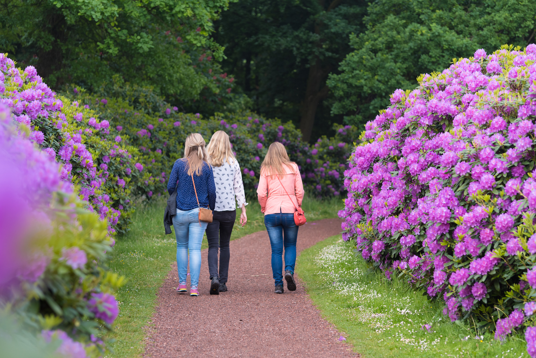 Pentax K-1 sample photo. Girls in rhododendron park photography