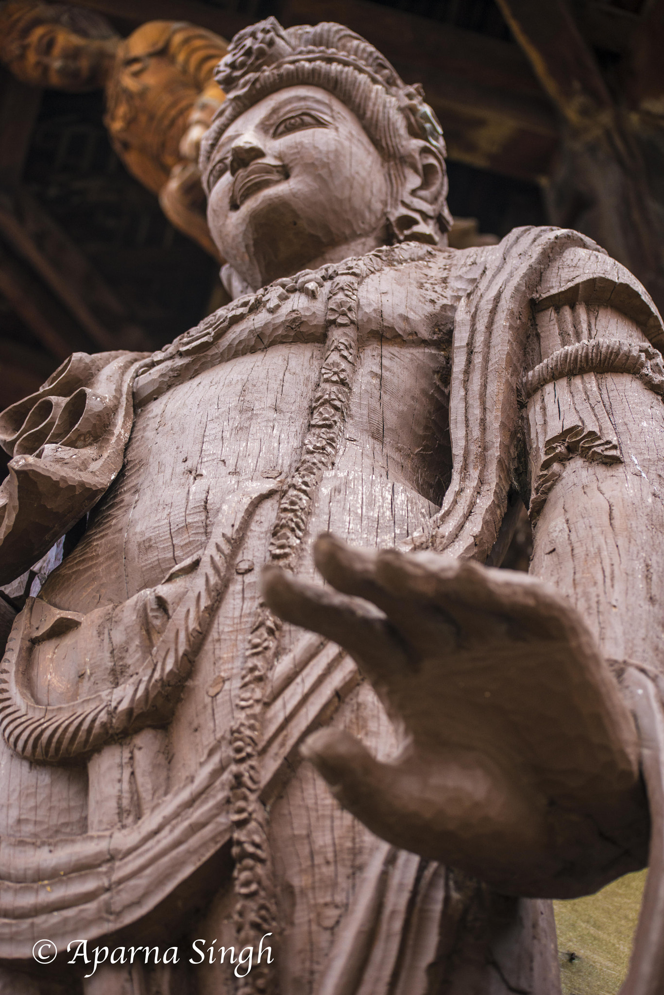 Nikon D800 sample photo. Deity photography