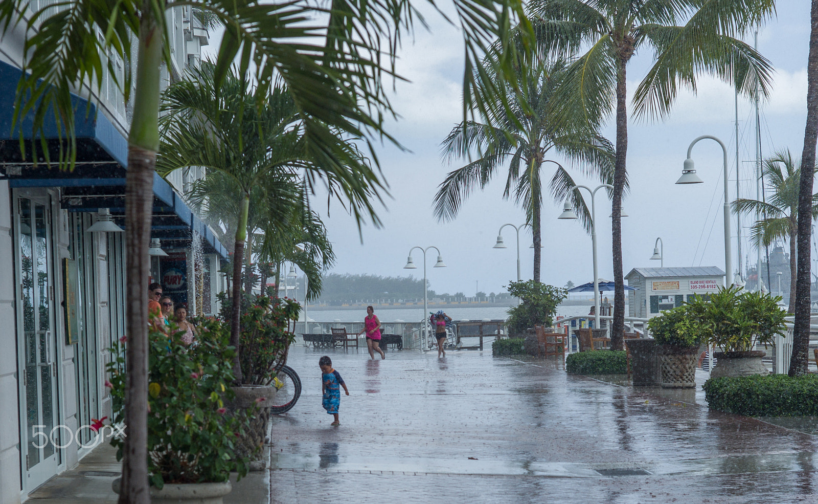 Leica M9 + Summicron-M 50mm f/2 (III) sample photo. Heavy rain photography