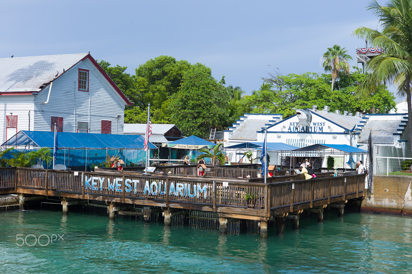 Leica M9 + Summicron-M 50mm f/2 (III) sample photo. Key west aquarium photography