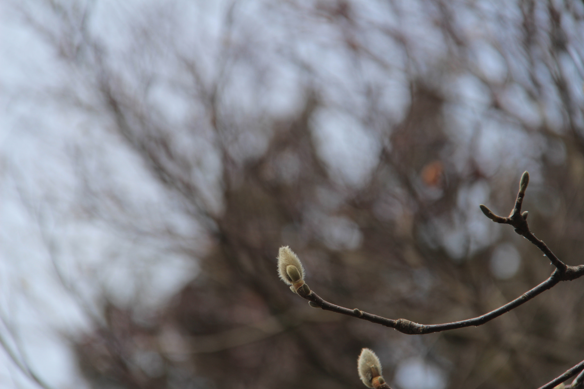 Canon EF-S 18-200mm F3.5-5.6 IS sample photo. 공원에서``````봄을 즐기며^^찰칵 photography