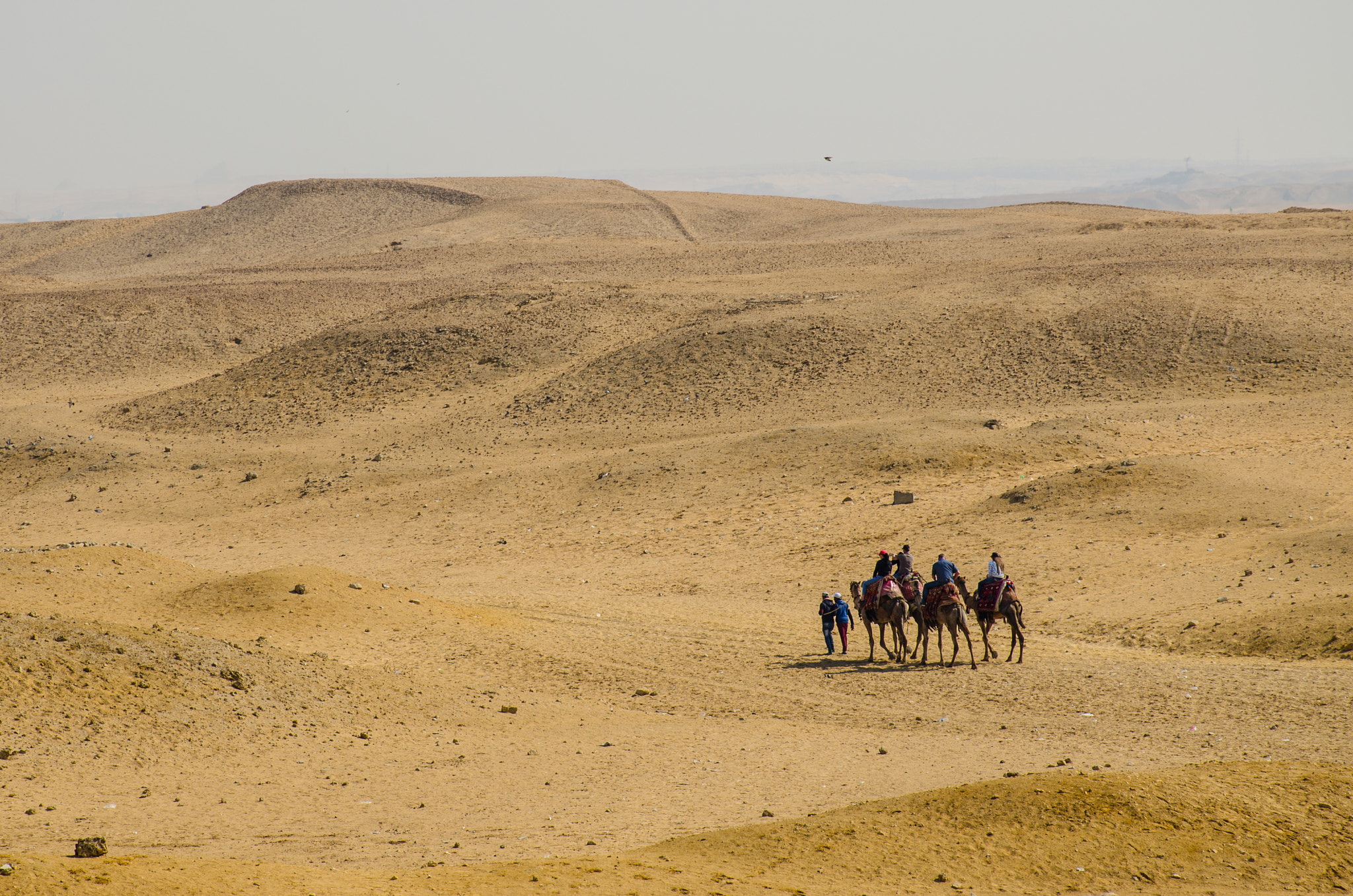 Nikon D5100 + Nikon AF-S DX Nikkor 18-140mm F3.5-5.6G ED VR sample photo. Desert ride photography