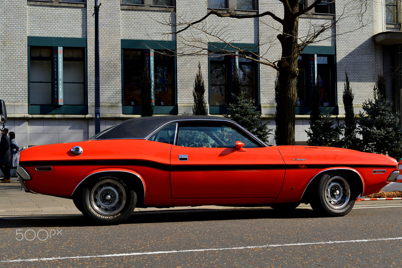 Nikon D600 + Nikon AF Micro-Nikkor 60mm F2.8D sample photo. Dodge challenger　r/t photography